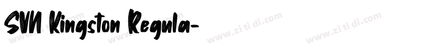 SVN Kingston Regula字体转换